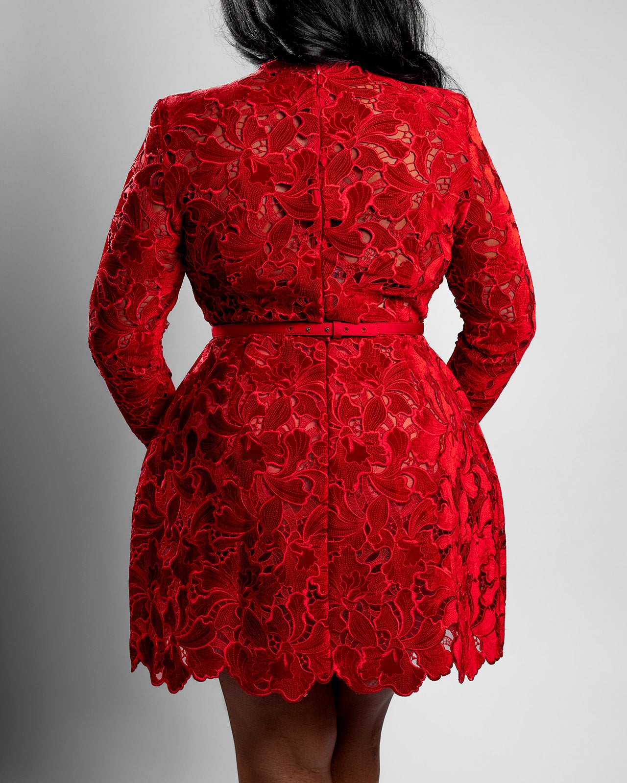 Red Velvet & Embroidered Lace Dress