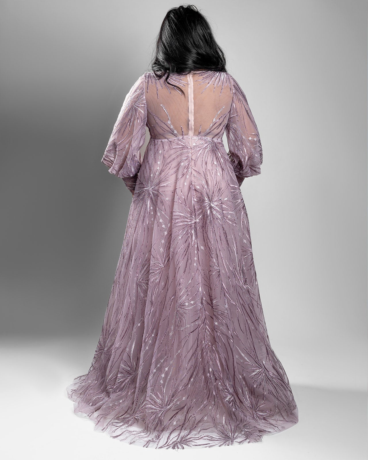 Blush Embroidered Lace Gown with Sheer Sleeves